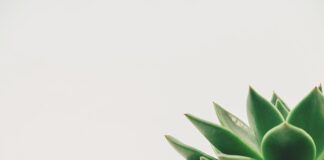 Jaka musi być minimalna siła napędowa na kołach?