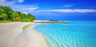 Z czego koc żeby był ciepły?