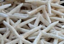 Ile mocy daje kolektor słoneczny? Ile mocy daje kolektor słoneczny?