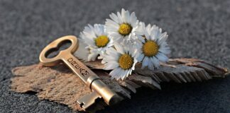 Jak otworzyć auto bez kluczyka?