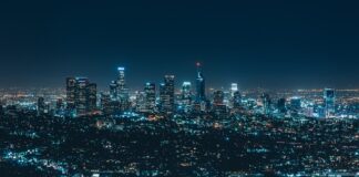 Co to za firma dolz?