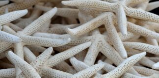 Jak sprawdzić czy kolektor wydechowy jest pęknięty?