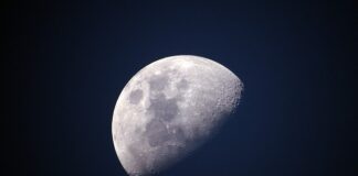 Co lepsze polar czy mikrofibra?