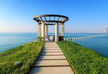 W jakiej cenie jest AdBlue?