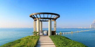 W jakiej cenie jest AdBlue?