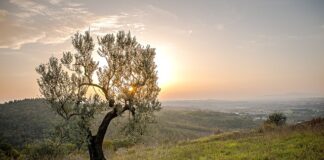 Czy warto kupić drugie felgi?