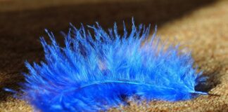 Jaka wykładzina do kampera?