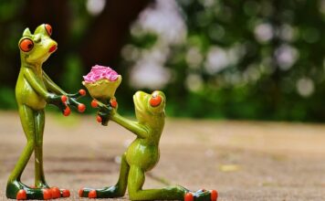 CO oznacza 25 60 na pompie?